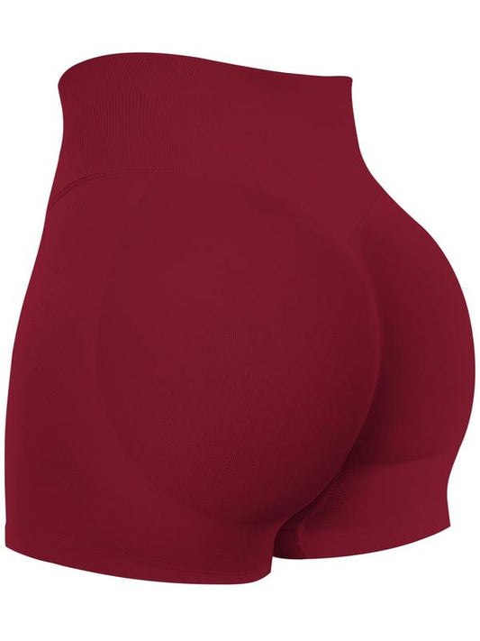 Women's High Waist Sports Shorts, Breathable Comfortable High Stretch Skinny Shorts, Gym Shorts, Ladies Sportswear for Indoor Outdoor Wear, Workout Clothes